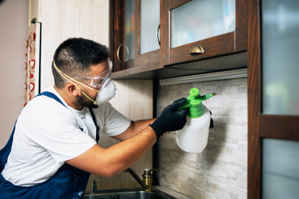 Best Pest Removal Services  in Arcadia, IN