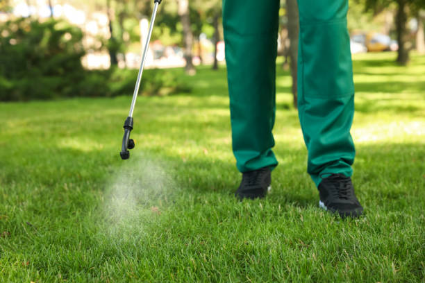 Best Affordable Pest Control Services  in Arcadia, IN