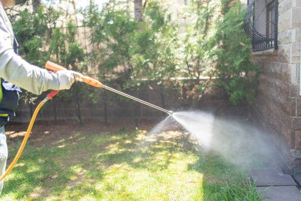 Best Local Pest Control Services  in Arcadia, IN