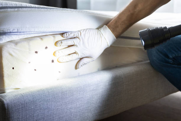 Best Best Pest Control Companies  in Arcadia, IN