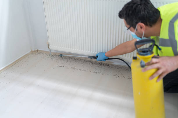 Best Residential Pest Control  in Arcadia, IN